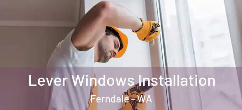  Lever Windows Installation Ferndale - WA
