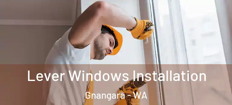  Lever Windows Installation Gnangara - WA