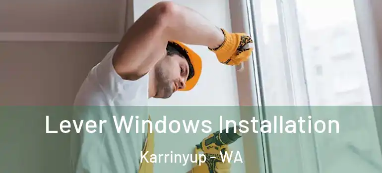 Lever Windows Installation Karrinyup - WA