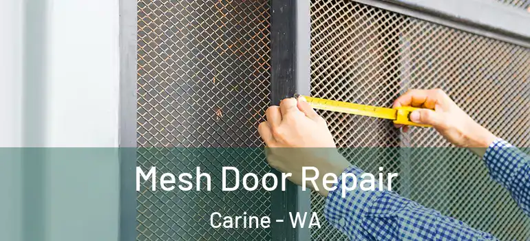  Mesh Door Repair Carine - WA