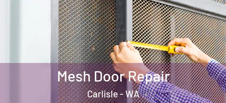 Mesh Door Repair Carlisle - WA