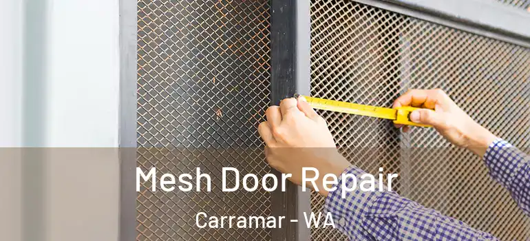  Mesh Door Repair Carramar - WA