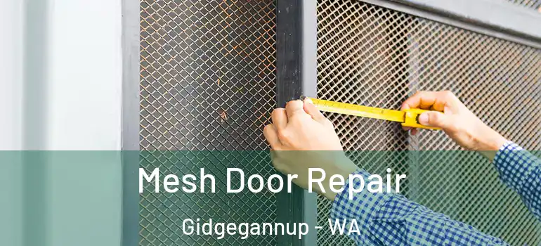 Mesh Door Repair Gidgegannup - WA