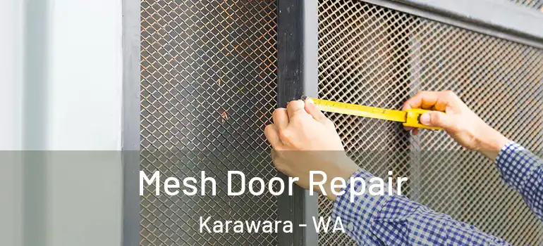  Mesh Door Repair Karawara - WA