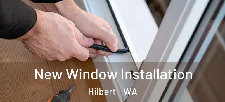  New Window Installation Hilbert - WA