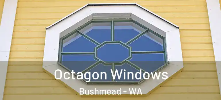Octagon Windows Bushmead - WA