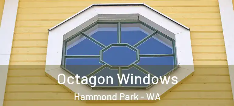 Octagon Windows Hammond Park - WA