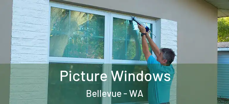 Picture Windows Bellevue - WA