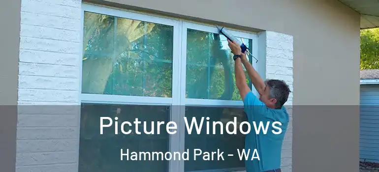 Picture Windows Hammond Park - WA