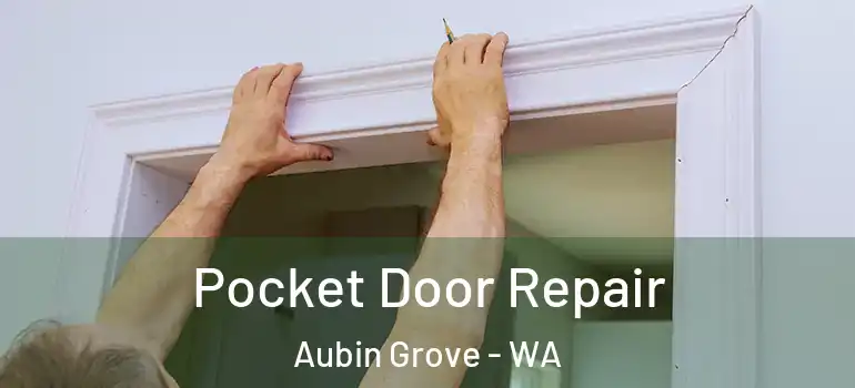  Pocket Door Repair Aubin Grove - WA