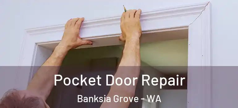  Pocket Door Repair Banksia Grove - WA