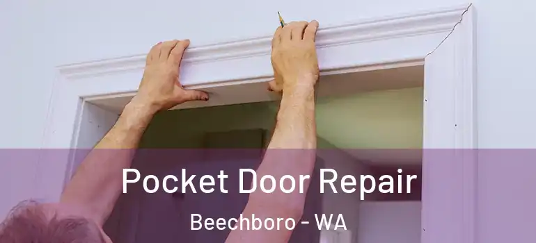 Pocket Door Repair Beechboro - WA