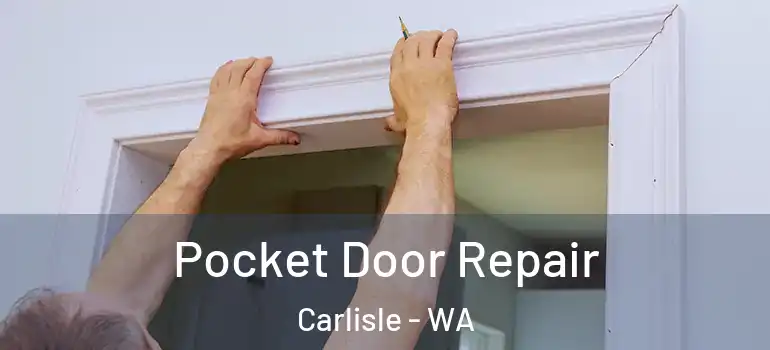  Pocket Door Repair Carlisle - WA
