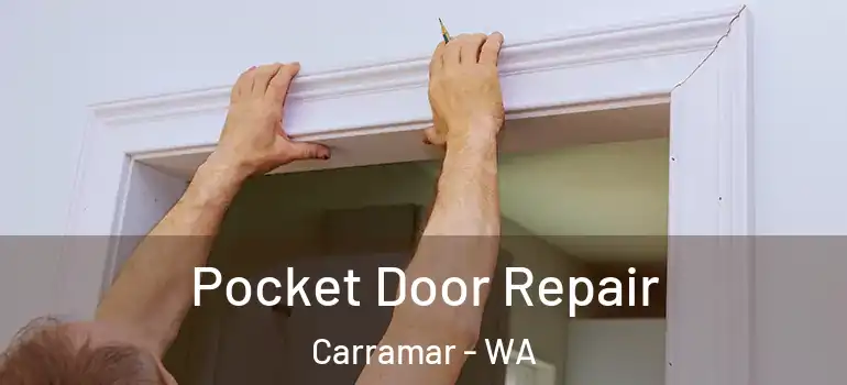  Pocket Door Repair Carramar - WA