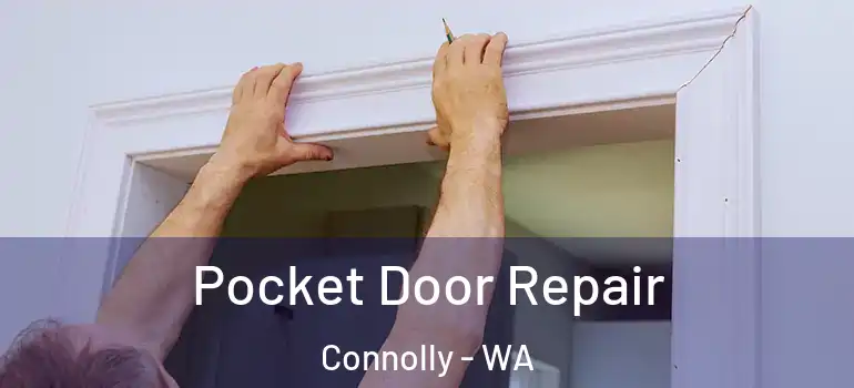 Pocket Door Repair Connolly - WA