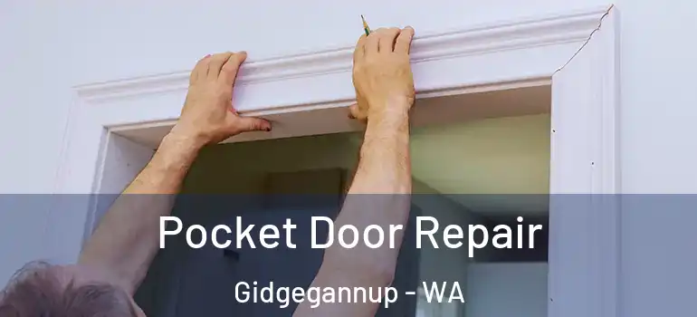  Pocket Door Repair Gidgegannup - WA