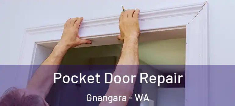  Pocket Door Repair Gnangara - WA