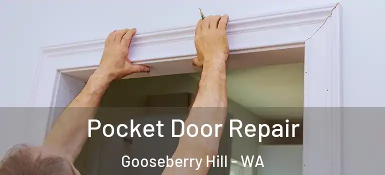Pocket Door Repair Gooseberry Hill - WA