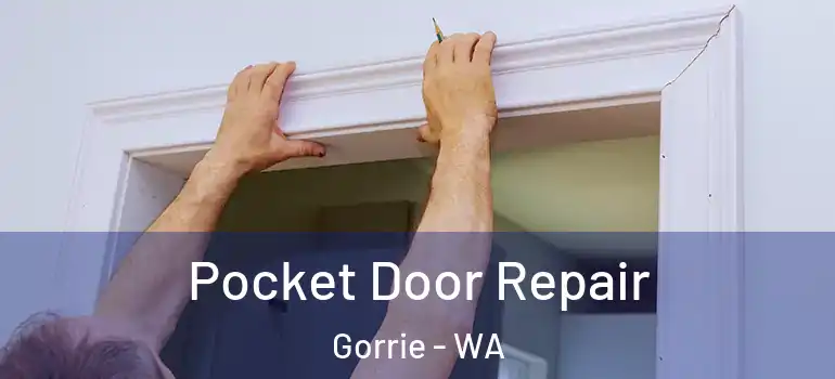  Pocket Door Repair Gorrie - WA