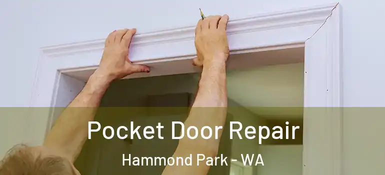 Pocket Door Repair Hammond Park - WA