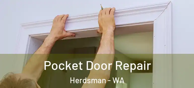 Pocket Door Repair Herdsman - WA