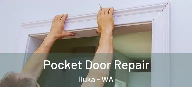  Pocket Door Repair Iluka - WA