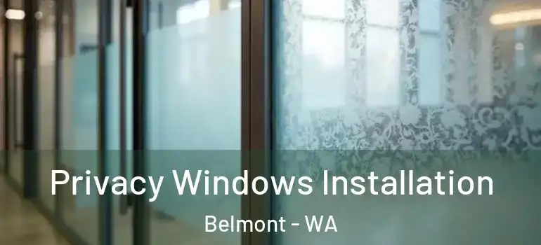 Privacy Windows Installation Belmont - WA