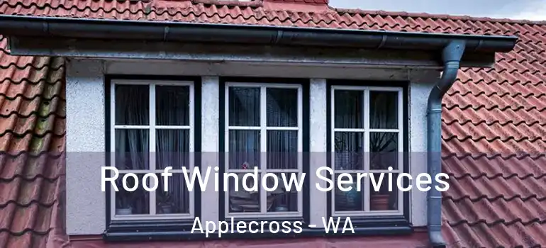 Roof Window Services Applecross - WA