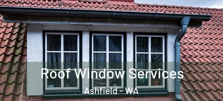  Roof Window Services Ashfield - WA