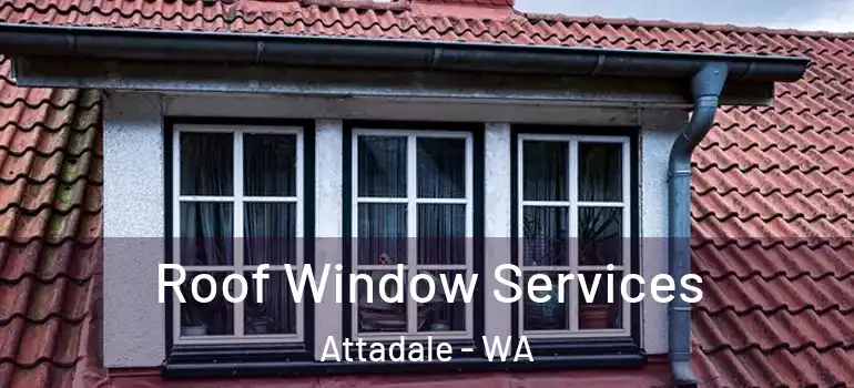  Roof Window Services Attadale - WA