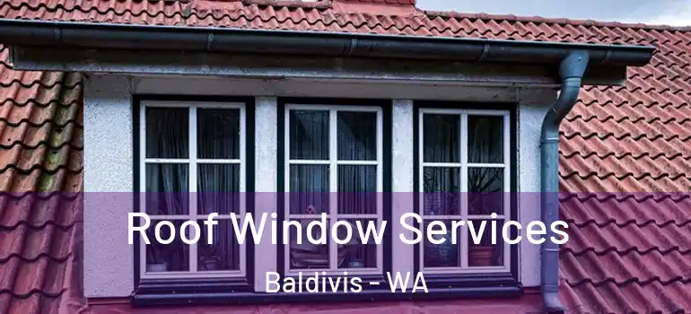 Roof Window Services Baldivis - WA
