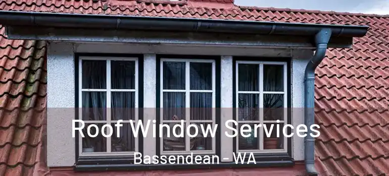 Roof Window Services Bassendean - WA