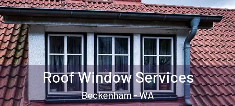 Roof Window Services Beckenham - WA