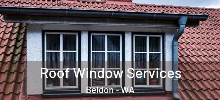 Roof Window Services Beldon - WA