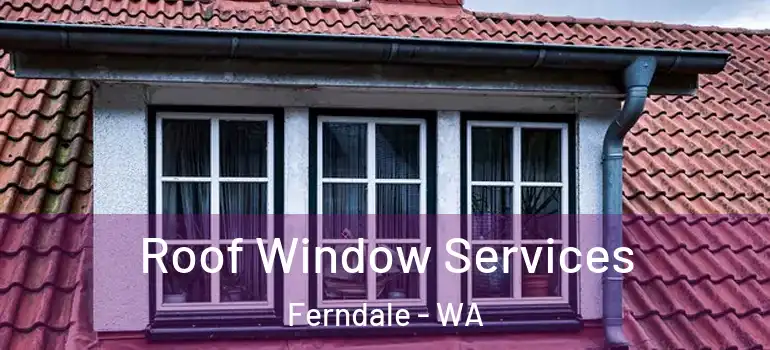 Roof Window Services Ferndale - WA