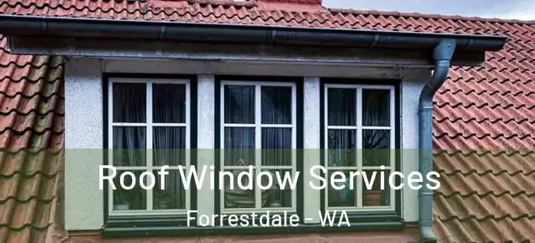  Roof Window Services Forrestdale - WA