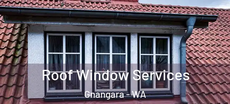 Roof Window Services Gnangara - WA