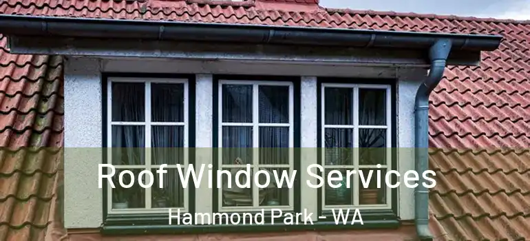 Roof Window Services Hammond Park - WA