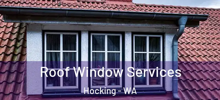 Roof Window Services Hocking - WA
