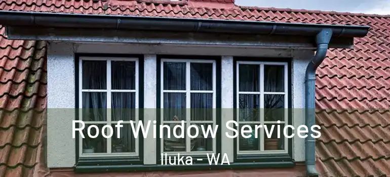 Roof Window Services Iluka - WA