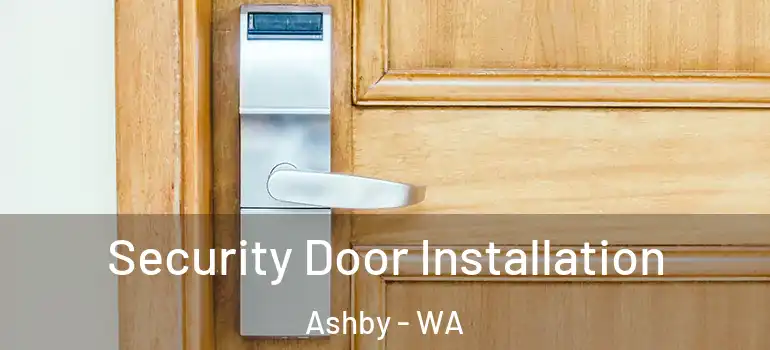 Security Door Installation Ashby - WA