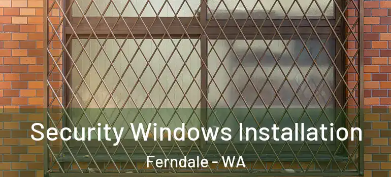 Security Windows Installation Ferndale - WA