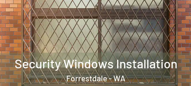 Security Windows Installation Forrestdale - WA
