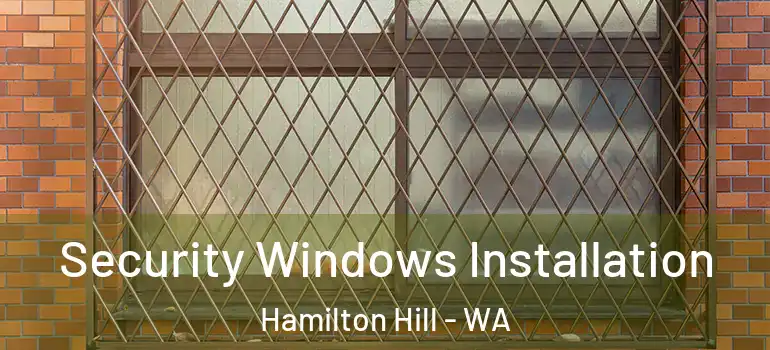 Security Windows Installation Hamilton Hill - WA