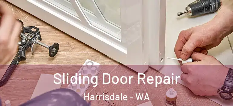  Sliding Door Repair Harrisdale - WA