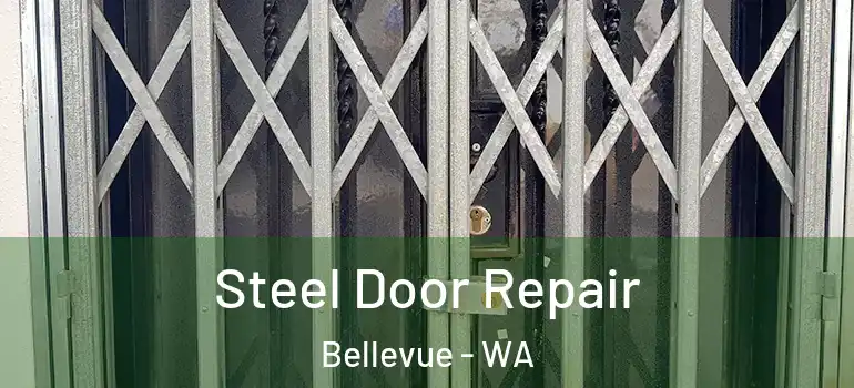 Steel Door Repair Bellevue - WA