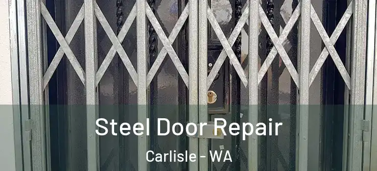  Steel Door Repair Carlisle - WA