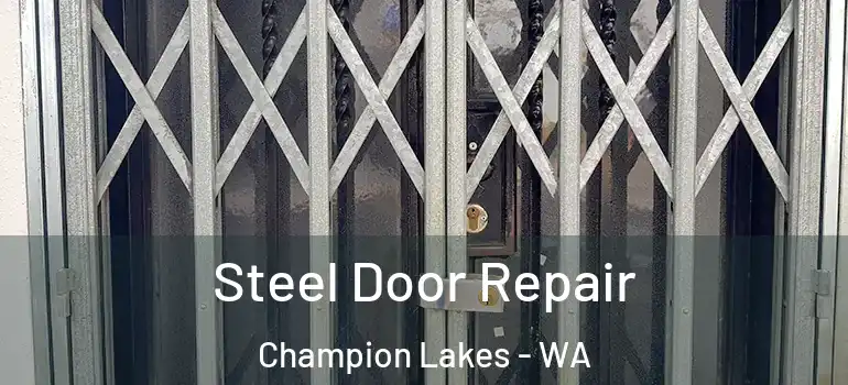 Steel Door Repair Champion Lakes - WA
