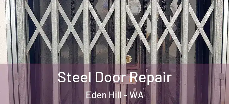Steel Door Repair Eden Hill - WA