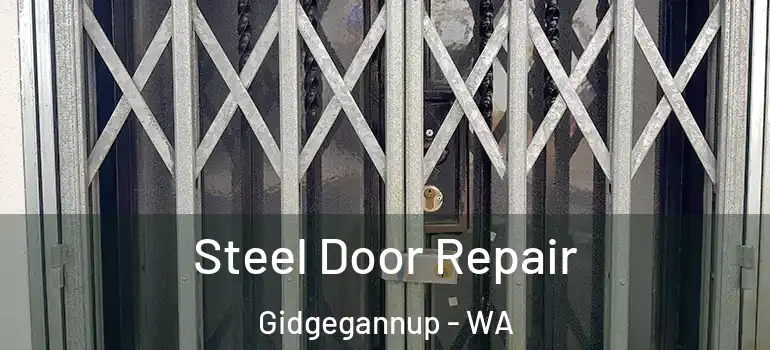 Steel Door Repair Gidgegannup - WA
